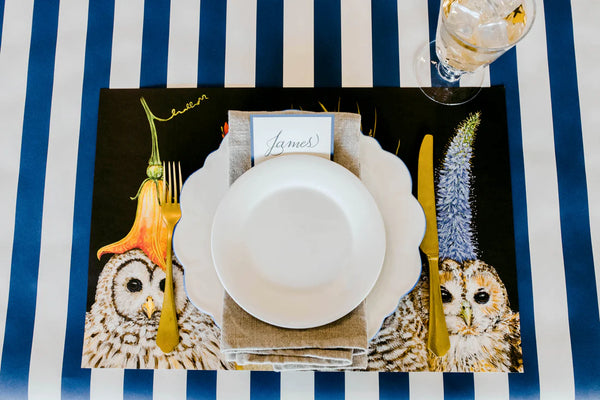 Baby Owls Placemat Pack