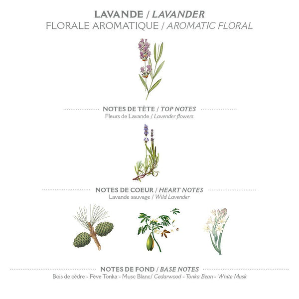 Panier des Sens | Organic | Lavender