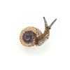 Melting Snail Brooch Pin