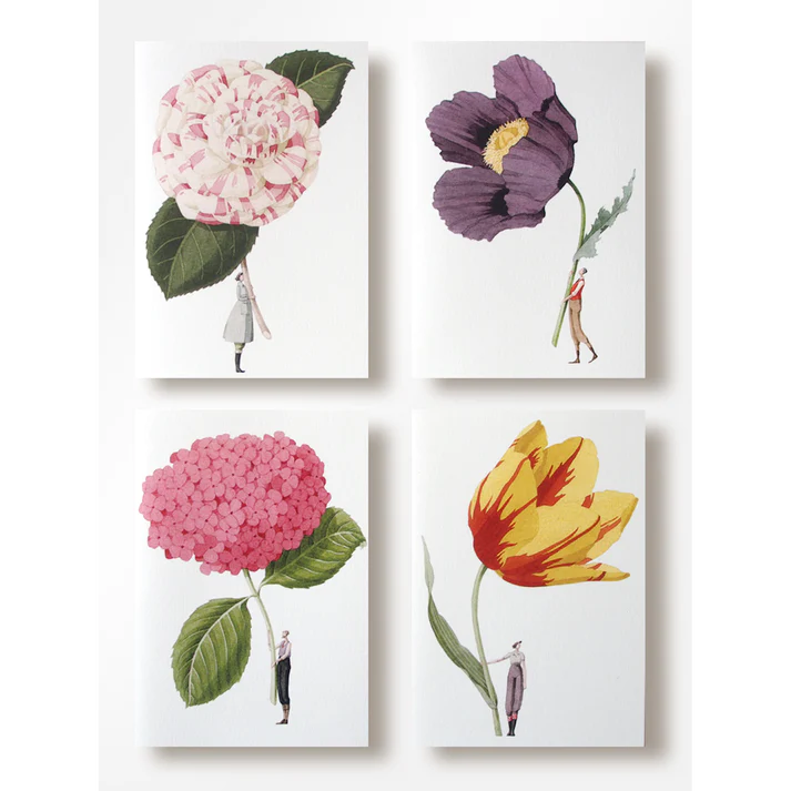In Bloom Notecards | Laura Stoddart {Set of 8}