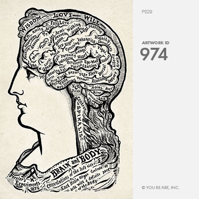 Map of the Brain Art Print {20x30}