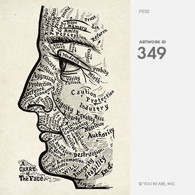 Map of the Face Art Print {20x30}