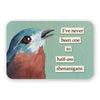 Troubled Birds: Vinyl Stickers {multiple styles}
