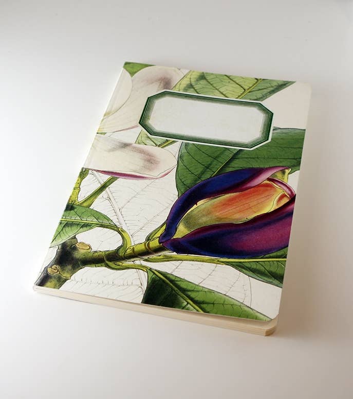 Botanical Notebook | Magnolia