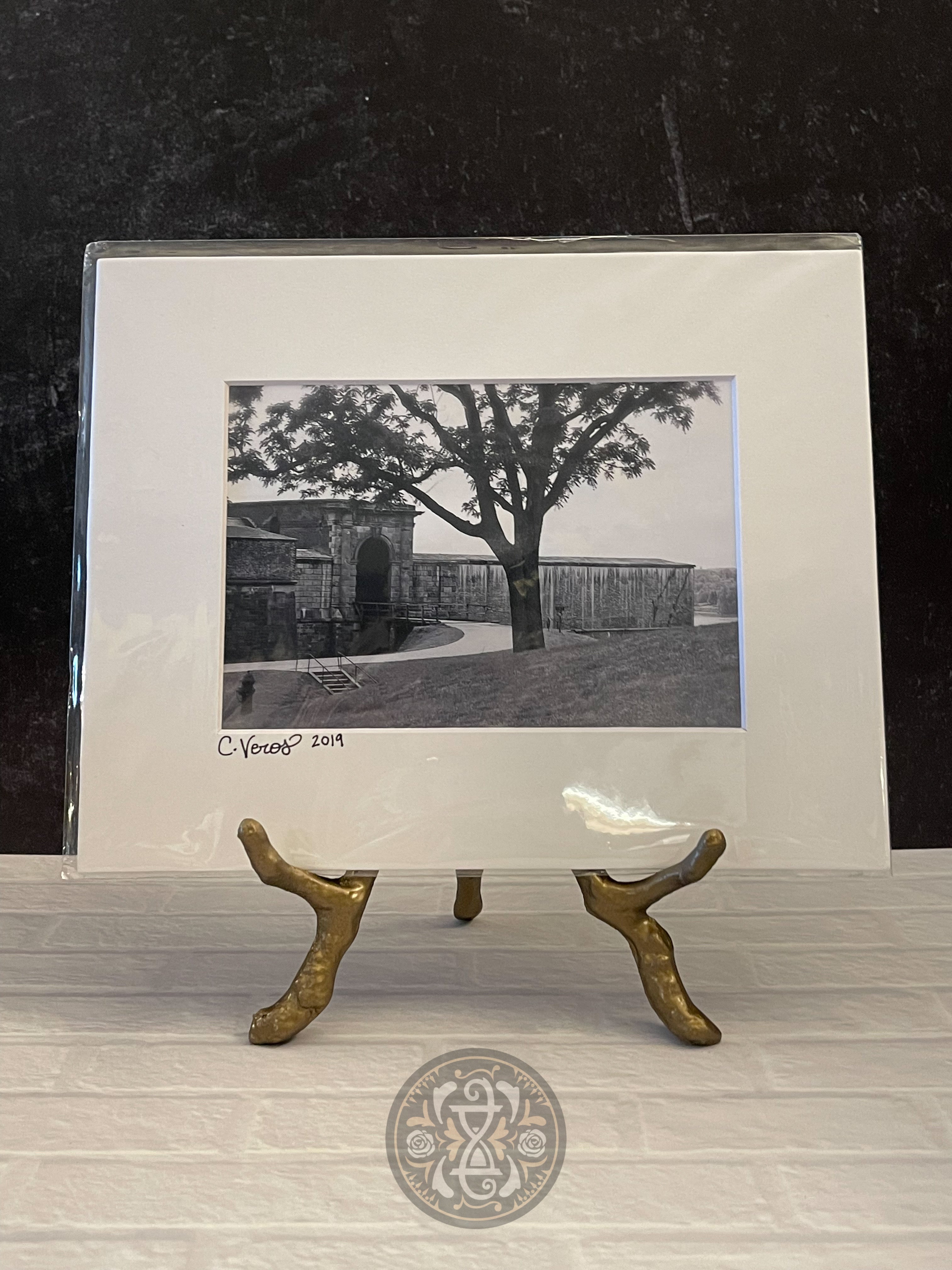 Matted Photo Art | Fort Pulaski 2019 {local artist}