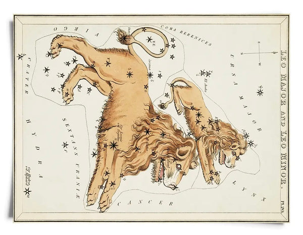 Vintage Zodiac Sign Astrology | 8" x 10" Art Print