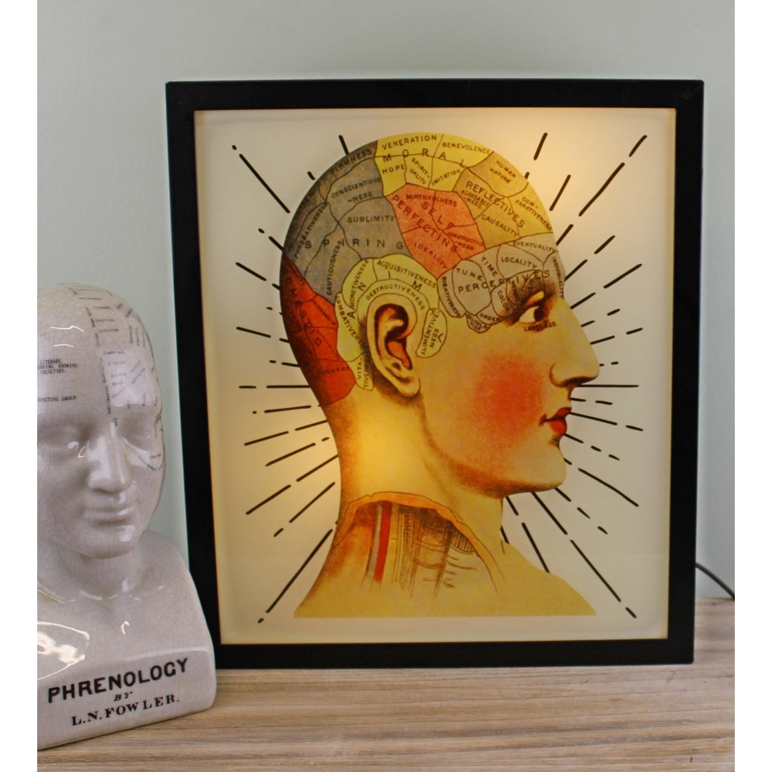 Decorative Lightbox| Phrenology Head