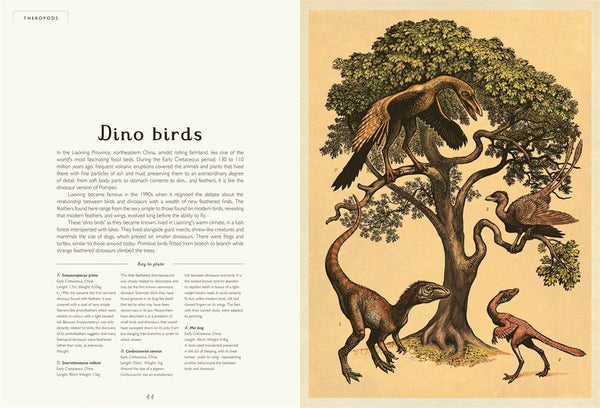Bienvenue dans la collection de livres du musée | Dinosaurium {Scott}