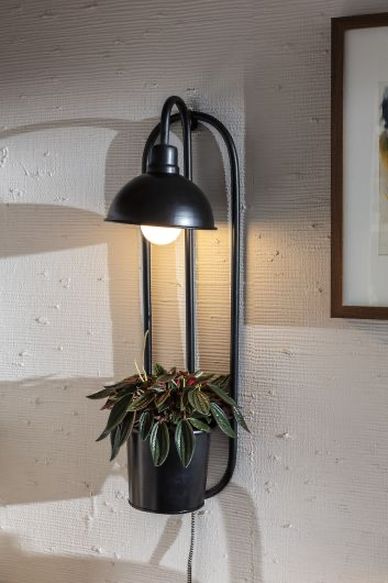 Kira Grow Light Hanging Planter