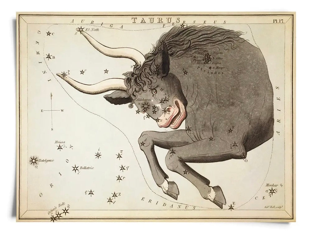 Astrologie du signe du zodiaque vintage | Impression artistique 8