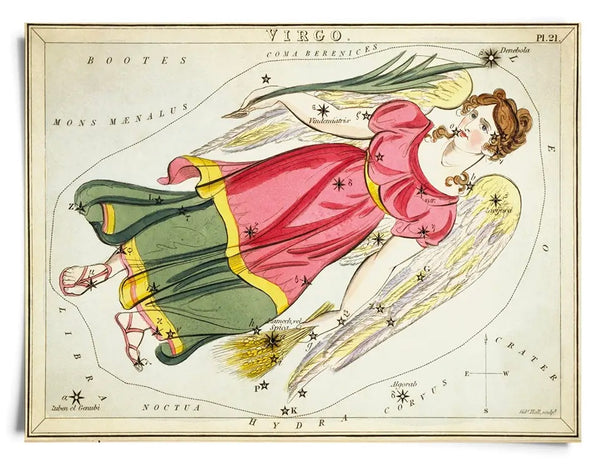 Astrologie du signe du zodiaque vintage | Impression artistique 8" x 10"