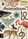 Welcome to the Museum Book Collection | Animalium {multiple types + bundle discount}
