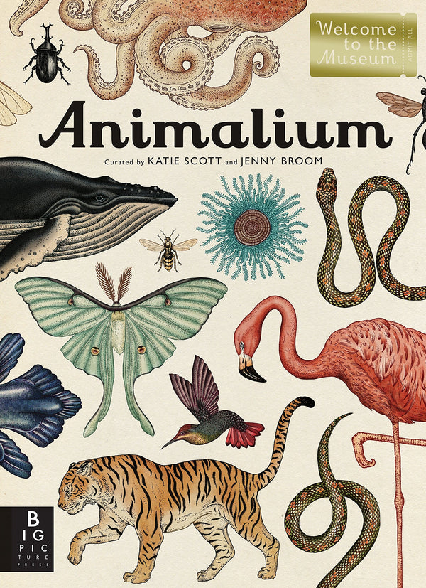 Bienvenue dans la collection de livres du musée | Animalium {plusieurs types + remise groupée}