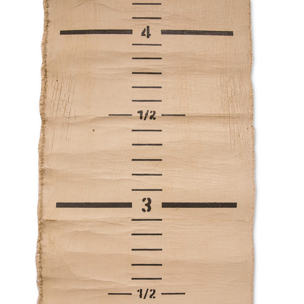 Distressed Canvas Growth Chart