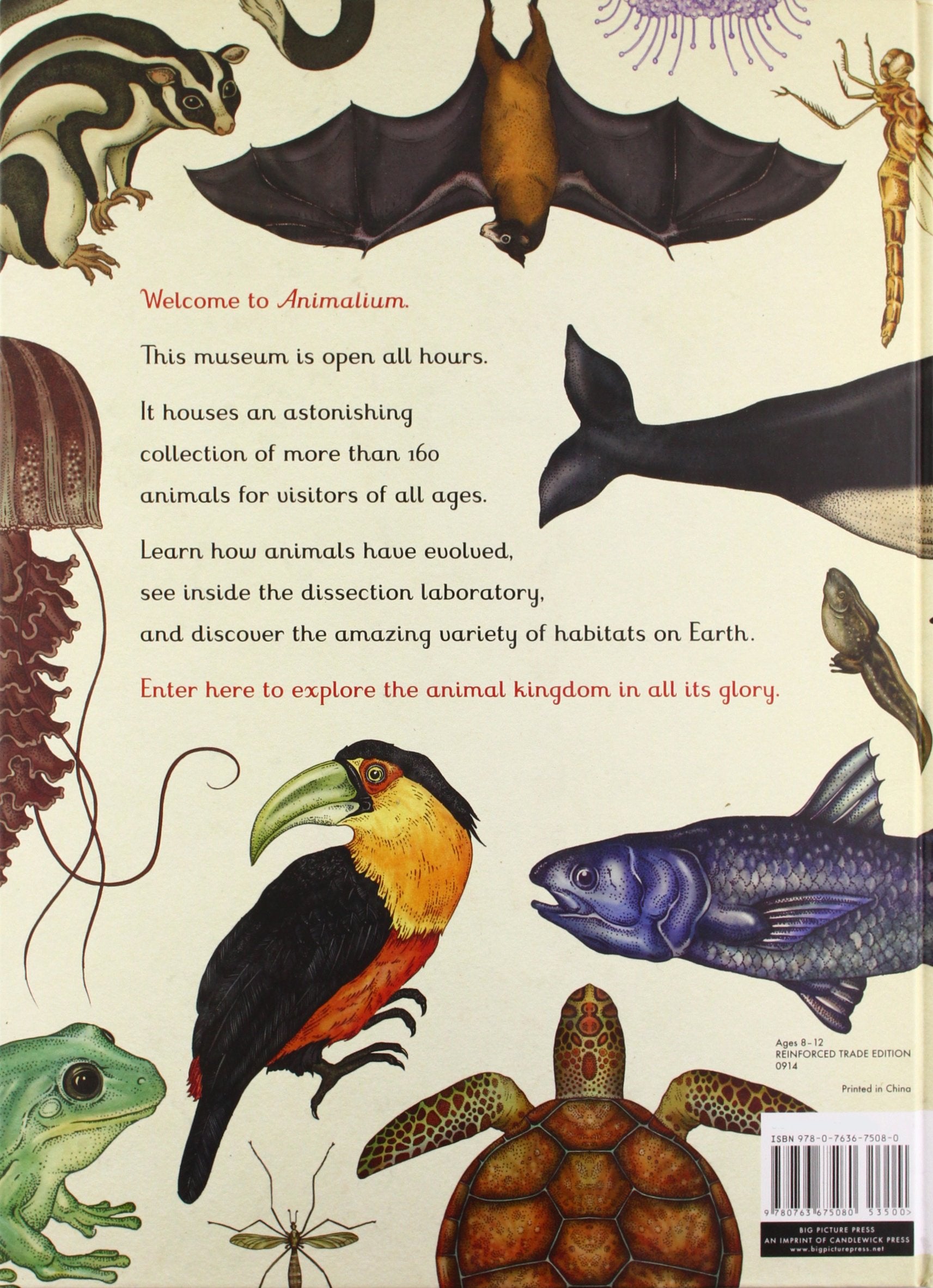 Welcome to the Museum Book Collection | Animalium {multiple types + bundle discount}