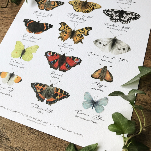 Tableau des papillons britanniques Aquarelle Impression artistique