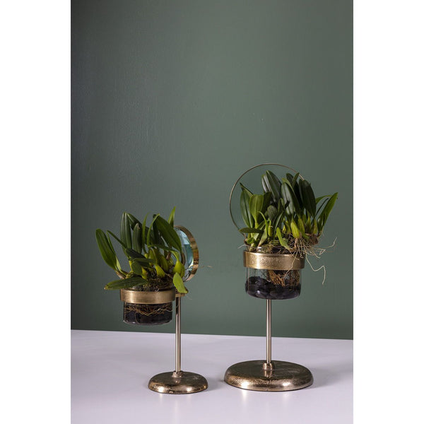 pots for multiple plants Spyglass Pot {multiple sizes}