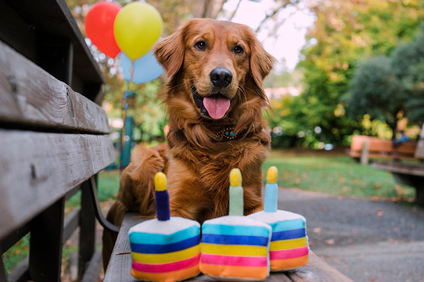 Dog Toys | Party Time {multiple styles}
